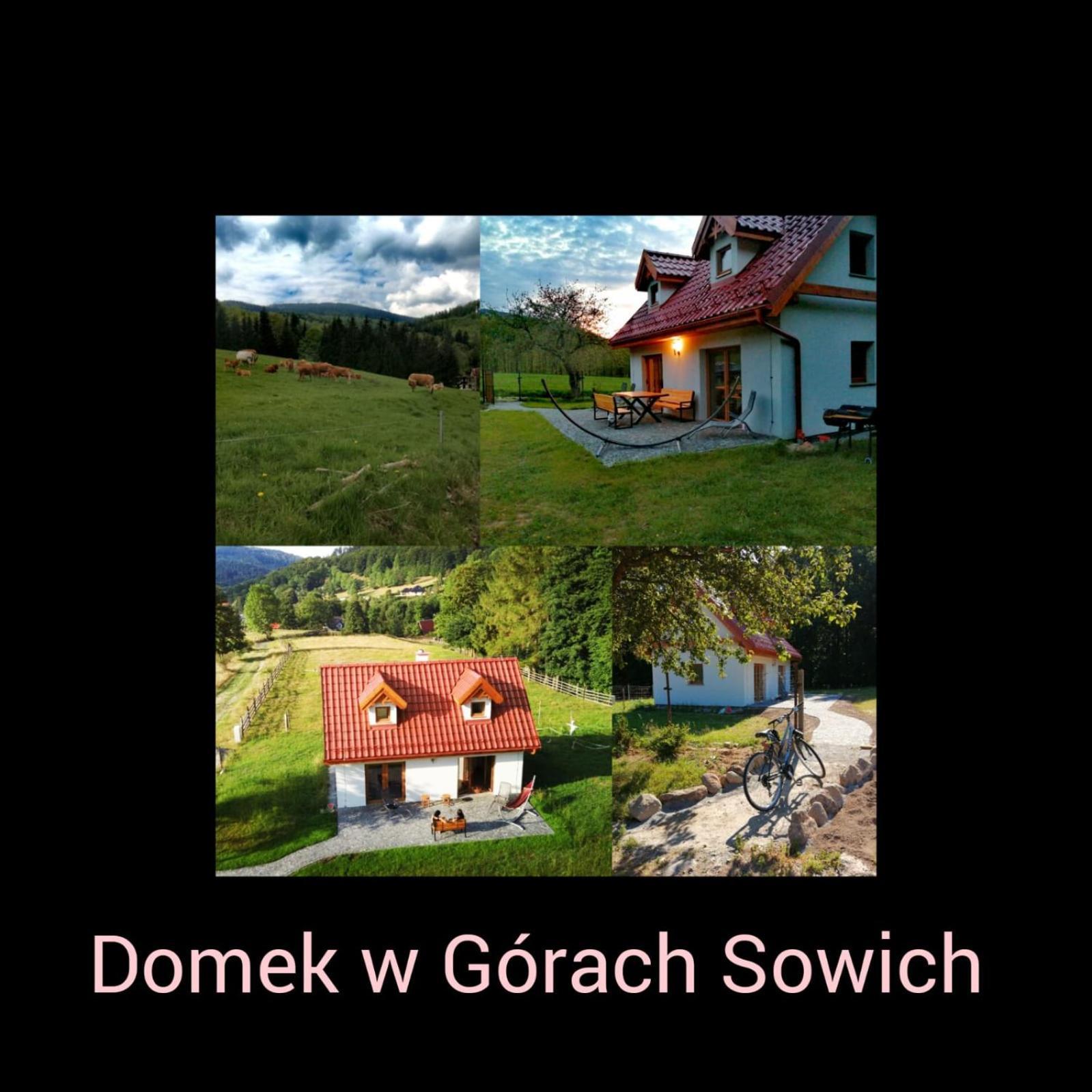 Domek W Gorach Sowich Pieszyce Εξωτερικό φωτογραφία